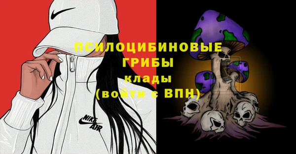 прущие крисы Аркадак