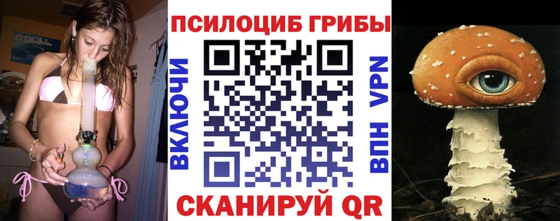 купить   Асбест  Галлюциногенные грибы Psilocybe 